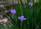 20110512_246