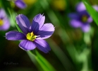 20110512_262