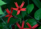 20110512_34