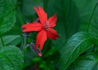 20110512_38