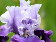20110512_66