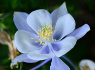 20110514_12