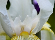 20110514_174