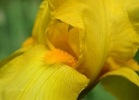 20110514_184