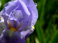 20110514_218