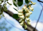 20110514_266