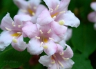 20110514_30