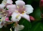 20110514_40