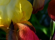 20110514_60