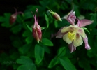 20110515_42