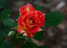 20110519_122