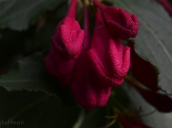 20110519_99
