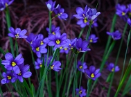 20110520_144