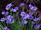 20110520_156