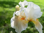 20110520_228
