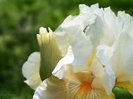 20110520_235