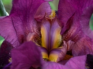20110520_260