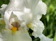 20110520_280