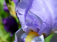 20110523_302