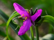 20110523_36