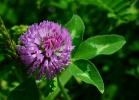 20110523_400
