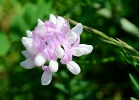 20110523_404