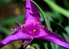20110523_480