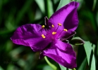 20110523_482