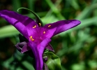 20110523_486