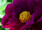 20110523_504