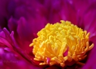 20110523_511