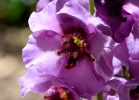 20110523_516