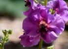 20110523_74