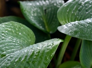 20110526_140