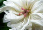 20110528_130