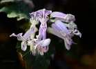 20110528_242