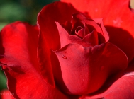 20110529_100