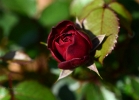 20110529_134