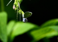 20110529_275