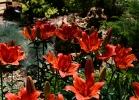 20110530_514