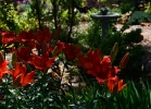 20110530_516