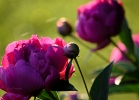 20110530_64