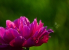 20110530_84