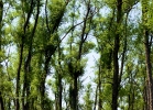 20110531_52