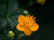 20110603_16