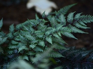 20110604_45
