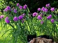 20110604_75