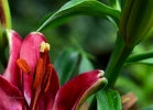 20110605_19
