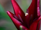 20110607_53