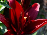 20110608_13